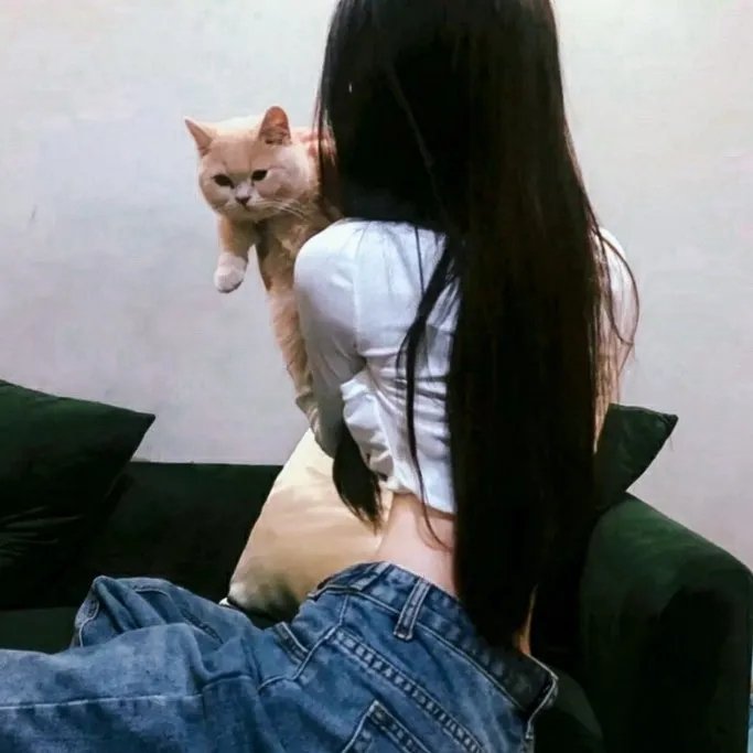 青春环游记第四季